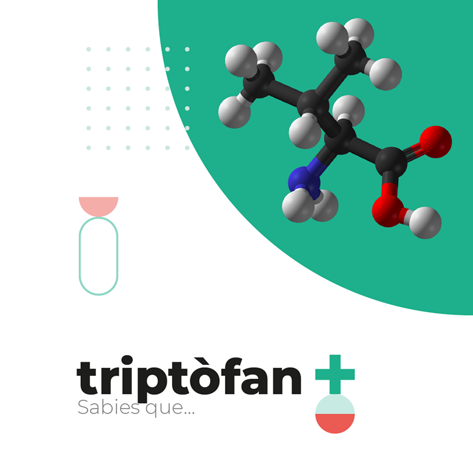 Descubre la relación entre el triptófano y la serotonina